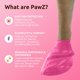 thumbnail image 2 of Botas para perro Protex PawZ de goma impermeables para todo clima, rosa, XS, 2 of 7
