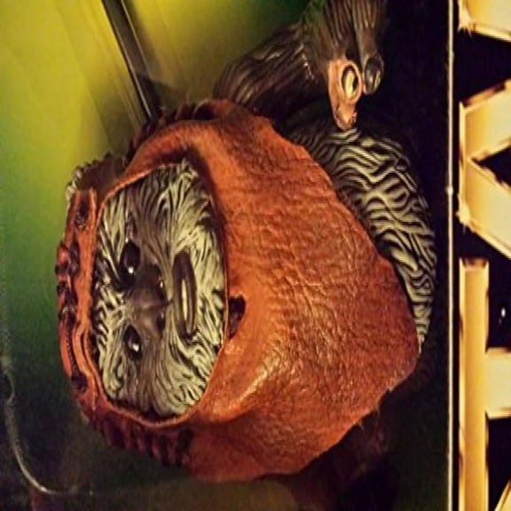 Star Wars Action Collection Fully Poseable Wickett The Ewok