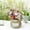 B, variant on Rattan Woven Flower pot Handmade Woven Planter Basket Natural Plant Containers Suitable for Indoor And Outdoor Plant(L)