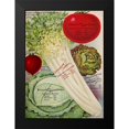 thumbnail image 2 of Vintage Apple Collection 19x24 Black Modern Framed Museum Art Print Titled - Celery, 2 of 5