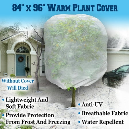 Sunrise Warm Worth Plant Cover and Plant Protecting Bag For Frost Protection, (Best Way To Protect Plants From Frost)
