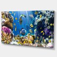 thumbnail image 2 of Fish in Coral Reef - Seascape Photography Canvas Art Print, 2 of 3
