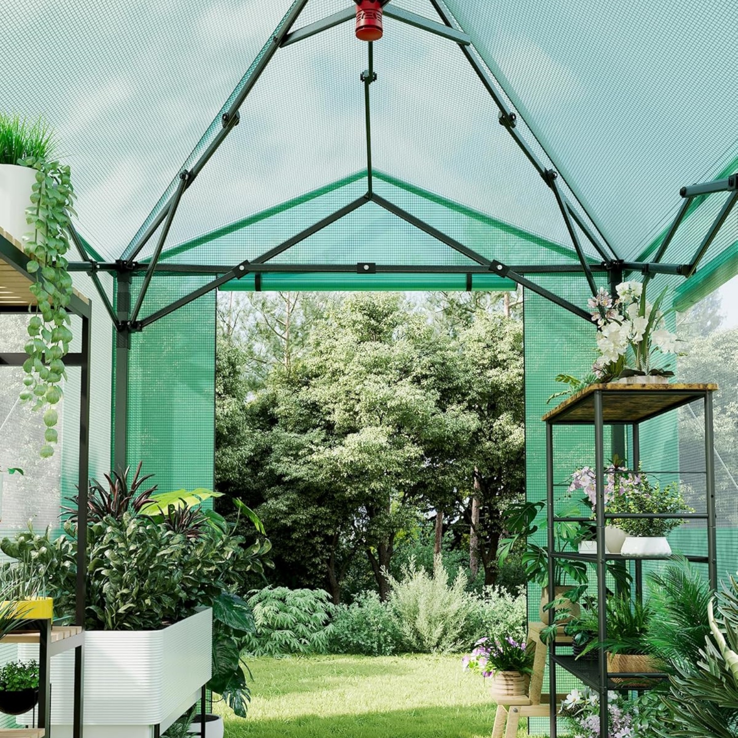 Riedhoff Portable Walk-in Greenhouse 8' x 6', Pop-up , Zippered Doors & Windows, Green