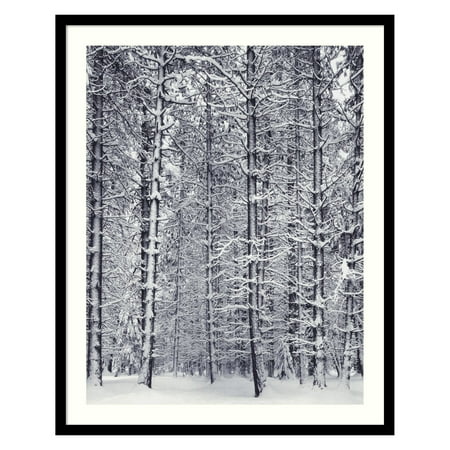 Pine Forest in the Snow, Yosemite National Park Framed Wall Art by Ansel Adams