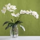 thumbnail image 4 of Hojas de OrquíDeas Phalaenopsis Plantas de Contacto de LáTex de RaíCes Artificiales de Aspecto Real Arreglo de Hojas de Imitación, 12 Piezas, 4 of 6