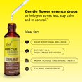 thumbnail image 4 of Remedio de rescate para aliviar el estrés, chocolate y menta, 20 ml, 4 of 7