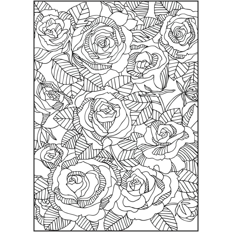 Timeless Creations Coloring Books, AC Moore $5 each on sale…