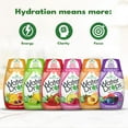 Stevia Water Drops Water Enhancer Variety Pack, Sugar Free Stevia
