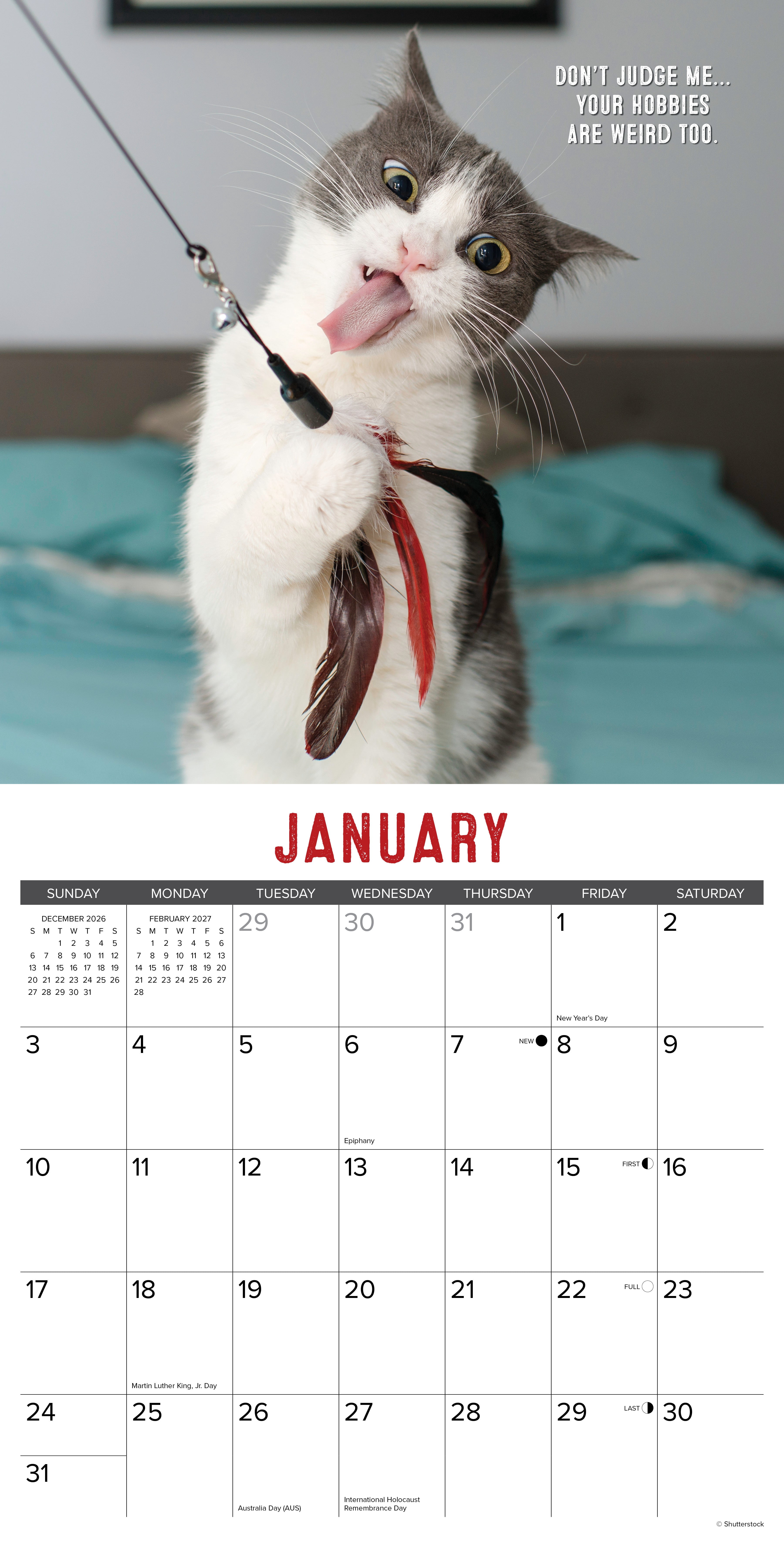 Willow Creek Press, Bad Kitties 2027 Wall Calendar