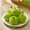 🔥 Green_New, variant on kcavykas Gifts Cute Apple Plush Stress Relief Toy, Soft Squeeze Doll, Red or Green, Christmas Eve Gift, Desktop Decor, Relaxation, 3.9in with Hanging Chain