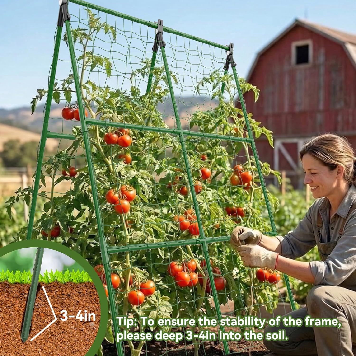Support for Tomatoes, Squash, Zucchini, Vegetables & Flowers, 2 Pack Cucumber Trellis, 34"×48" Garden Trellis for Climbing Plants Outdoor, A-Frame Vegetable Trellis for Raised Bed