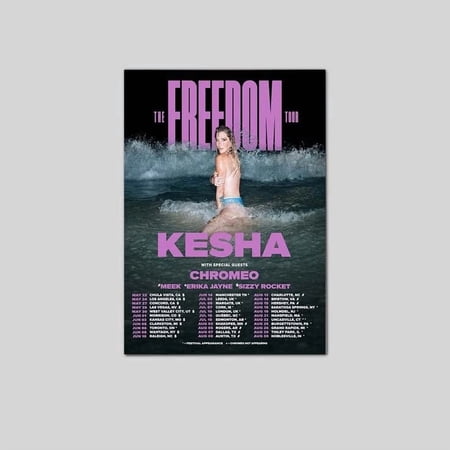 Kesha The Freedom Tour 2026 Poster Pop Concert Schedule Poster Size 24''x36'' Googate