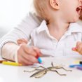 thumbnail image 4 of Miangastore 1Set Stick Insect Toy for Children with Educational Function in Coffee Color 10.5X9X1in Plastic, 4 of 8