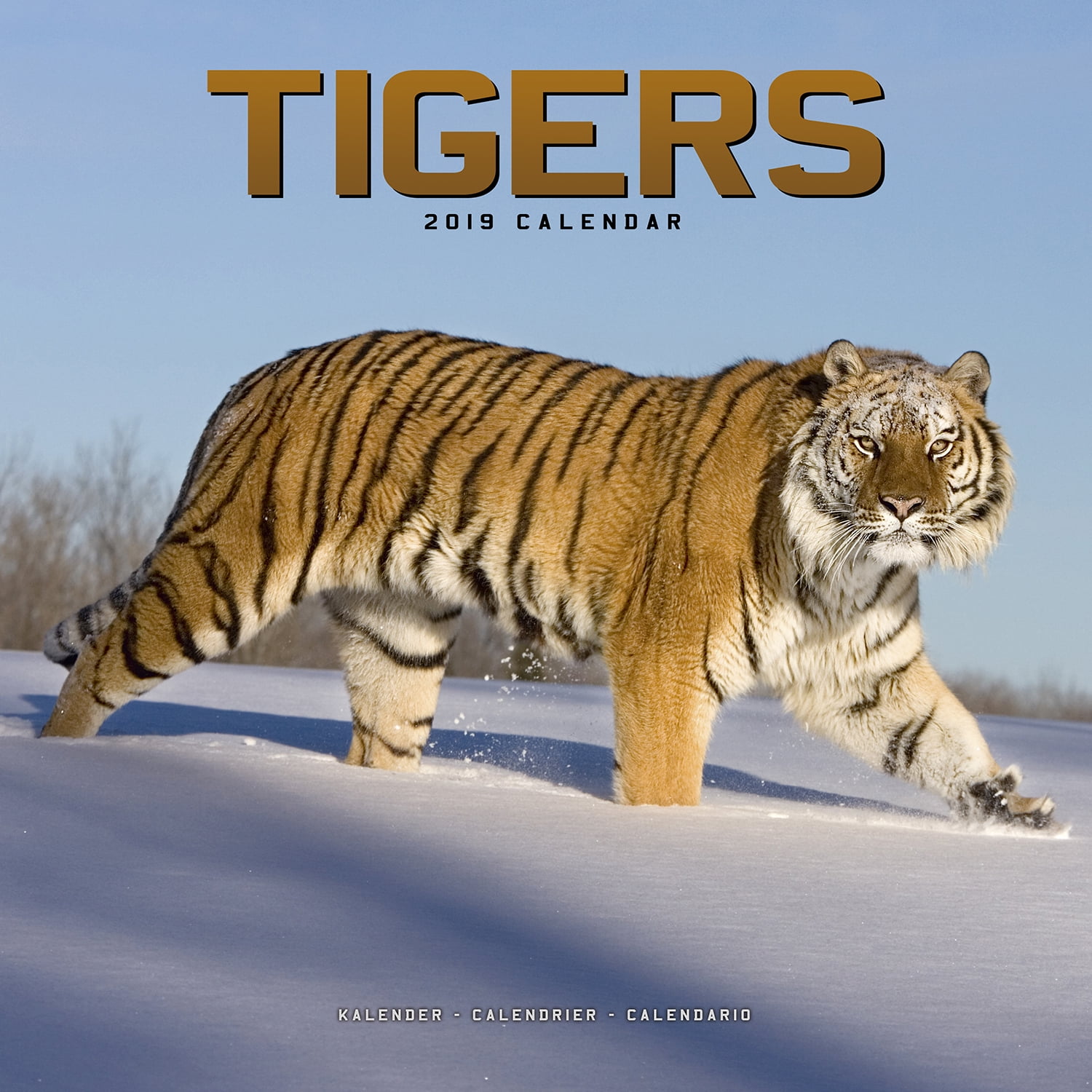 Tigers Wall Calendar 2019
