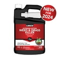 Eliminator Extended Control Weed and Grass Vegetation Killer Herbicide