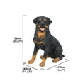 thumbnail image 3 of Hi- Line Gift 87688 Decorative Rottweiler Sitting Large Dog Statue, 3 of 3
