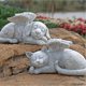 thumbnail image 5 of Perro/gatos Angel Pet Memorial Grave Marker Tribute Estatua Resina Artesanía Decoraciones Adornos Regalos - A Kuyhfg Bienvenido a Kuyhfg, 5 of 5