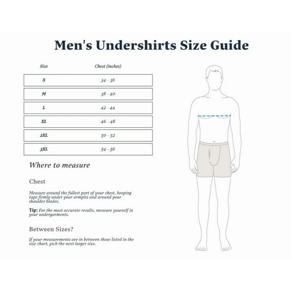 Fruit of the Loom Men's Short Sleeve White V-Neck T-Shirts