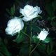 thumbnail image 1 of Luces solares de flores, rosas artificiales decorativas, luces LED solares para exteriores, impermeables, IP44, para jardín, Navidad, decoración al aire libre, patio, patio trasero, césped esquí esquí Gafas de esquí, 1 of 5