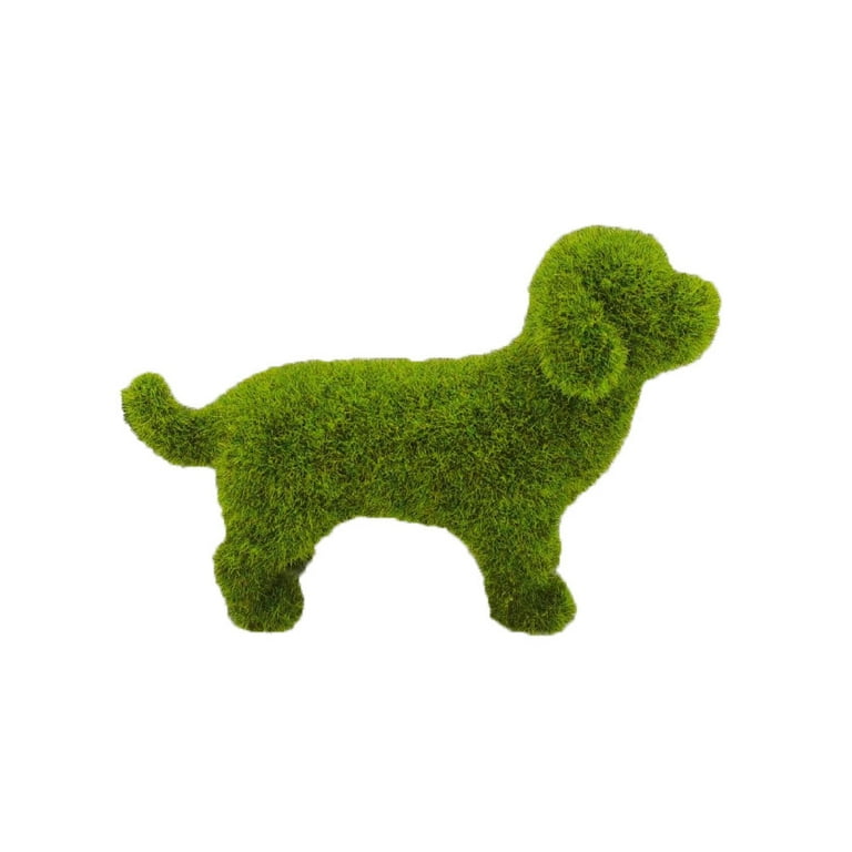 Dog Keeps Chewing Moss Out of Artificial Fig Tree