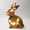 Gold B, variant on HaCpiu Easter Wood Bird Table Decor, 7" Spring Lighted Bird Table Centerpiece, Table Top for Home, Party, Office & Home Decoration Table Top Desk