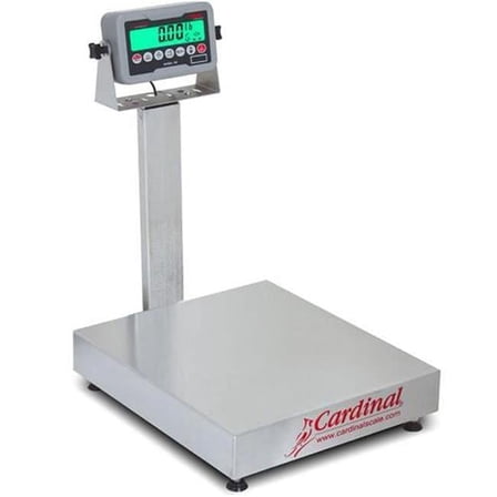 Detecto EB-60-185B 16 x 14 in. 60 lbs Stainless Steel 185B Indicator Electronic Bench Scale