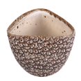 thumbnail image 1 of Salton Vase Triangulaire, 1 of 5