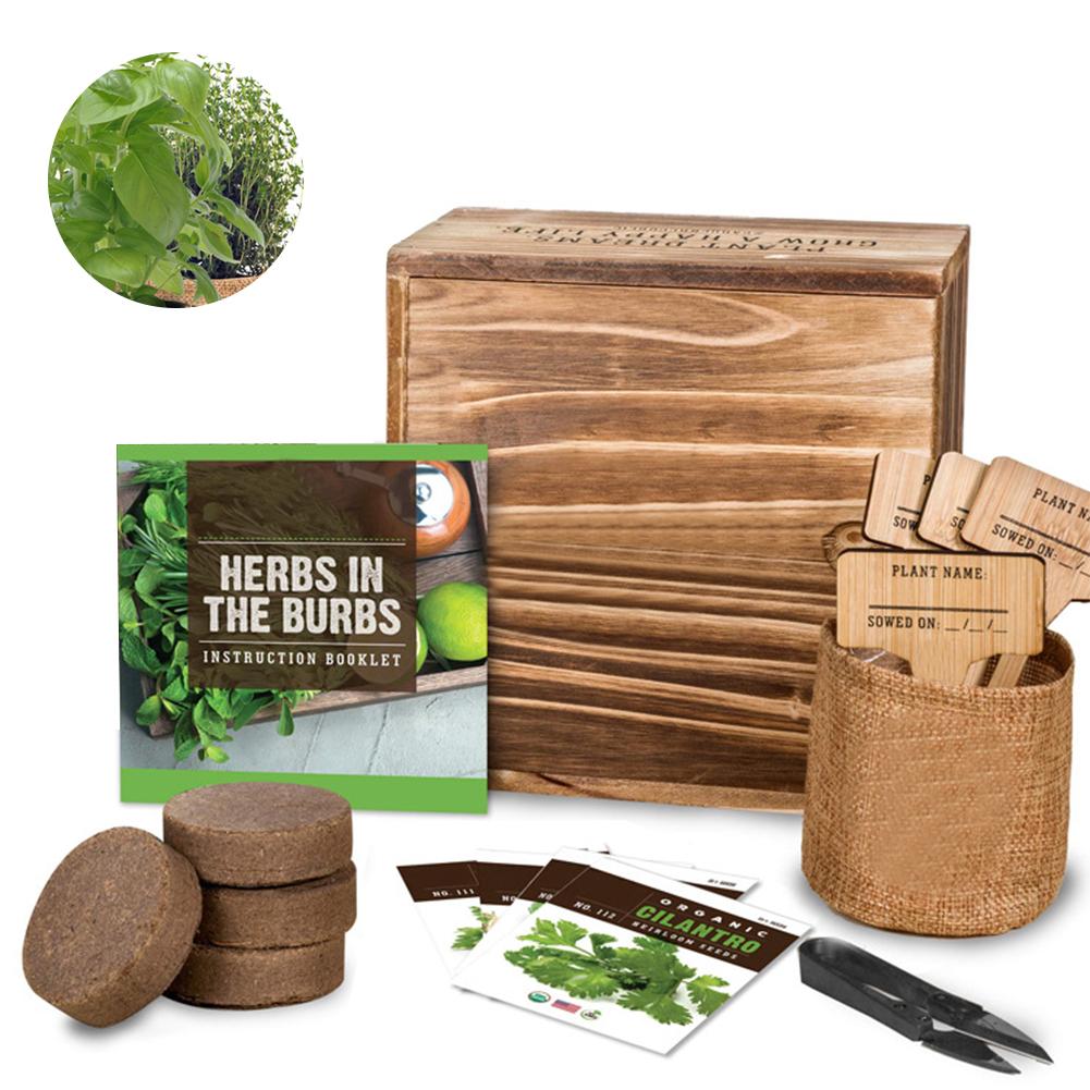 Garden Starter Kit Handmade Durable DIY Grow Set for Growing Herbs