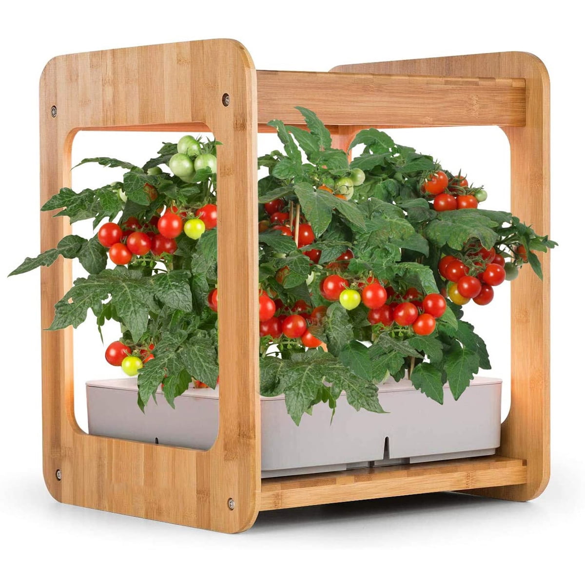 Hydroponics Growing System, Indoor Herb Garden Starter Kit w/ LED Grow ...