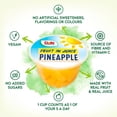 thumbnail image 5 of Dole Pineapple In Juice Pot 113g, British Import (Pack of 3), 5 of 5