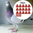 thumbnail image 4 of Yingyy 100Pcs Pigeon Ring 8mm 2023 Dove Tag Clips Rings 100PCS Legs Band for Duck Most Adult Birds Poultry Red, 4 of 6