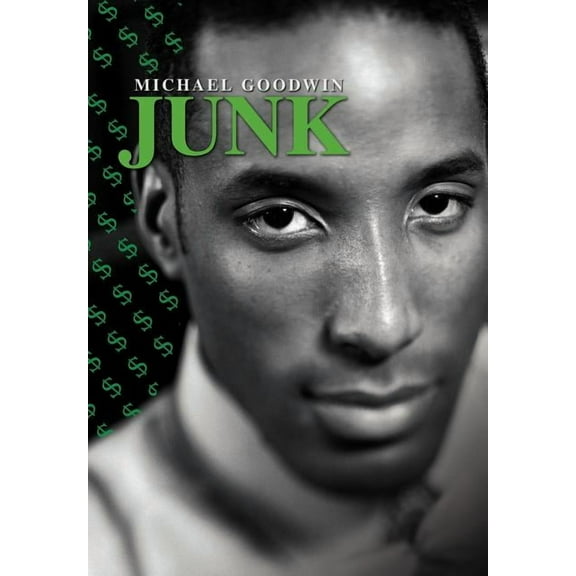 Junk (Hardcover)