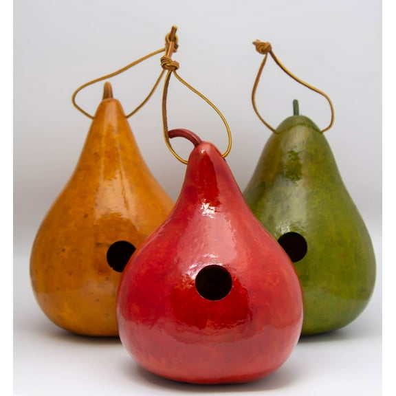 Gourd Birdhouses - Painted Gourd Art - Red - Yellow - Spring Green - Set of 3