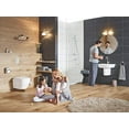 thumbnail image 5 of GROHE 40374001 Essentials Toilet Brush Set in Starlight Chrome, 5 of 5