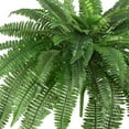 thumbnail image 3 of Nearly Natural 48in. Boston Fern Artificial Plant (Set of 2), Green, 3 of 4
