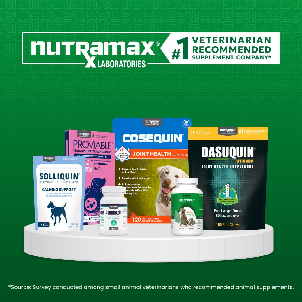 Nutramax Welactin Omega 3 Fish Oil for Dogs, Skin and Coat Health Supplement, Plus Joint, Immune, Kidney, and Brain Support, Premium Omega 3 Fatty Acids, For Dogs of all Sizes, 16 Ounce Liquid