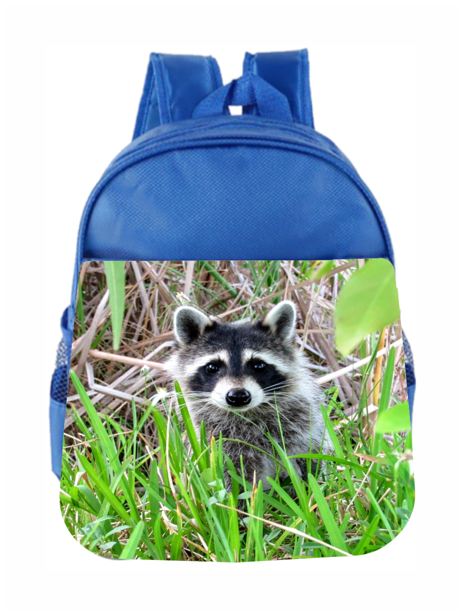 Toddler Backpack Raccoon Animal Kids Backpack Toddler