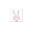 thumbnail image 1 of cuadro decorativo pink rabbit lienzo by suma 1 pieza 30 X 45 CM, 1 of 2