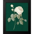 thumbnail image 2 of Wild Apple Portfolio 12x14 Black Modern Framed Museum Art Print Titled - White Roses on Green II, 2 of 5