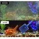 thumbnail image 3 of Esponja para acuario, escurridor de limpieza para acuario, esponja para acuario, imán para acuario, cepillo magnético para acuario, limpieza de vidrio para acuario, 40 cm, 2 piezas (azul) ER, 3 of 5