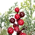 thumbnail image 7 of Northlight Frosted Berry and Crabapple Artificial Cedar and Pine Christmas Wreath - 24" - Unlit, 7 of 7