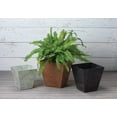 thumbnail image 5 of Root & Vessel Ella Square Planters, Rust, 16", 5 of 5
