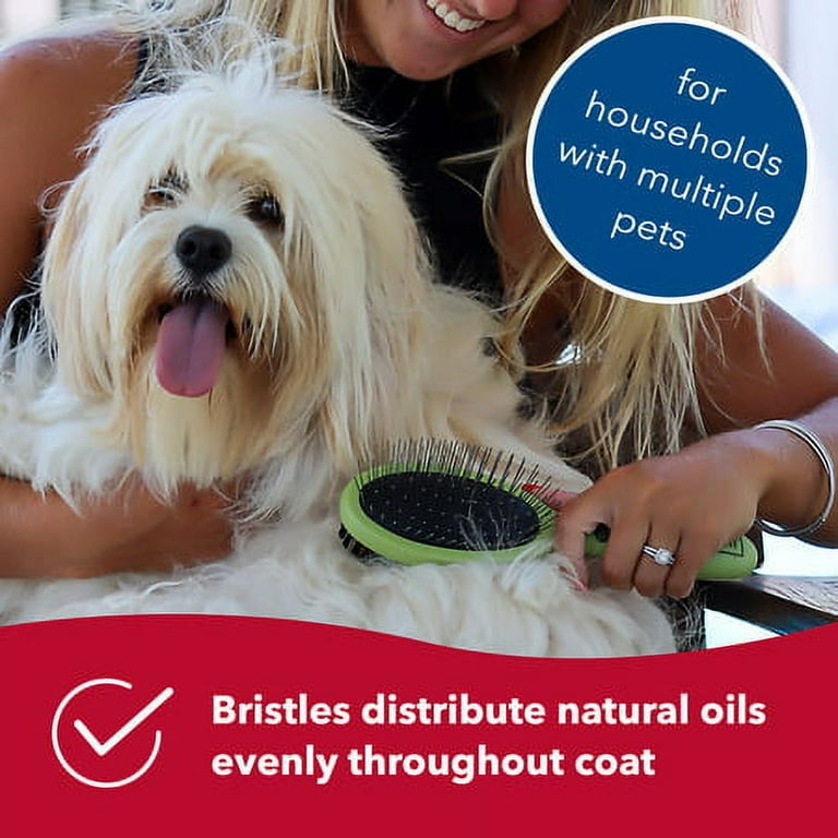 Safari combo brush for dogs cheap