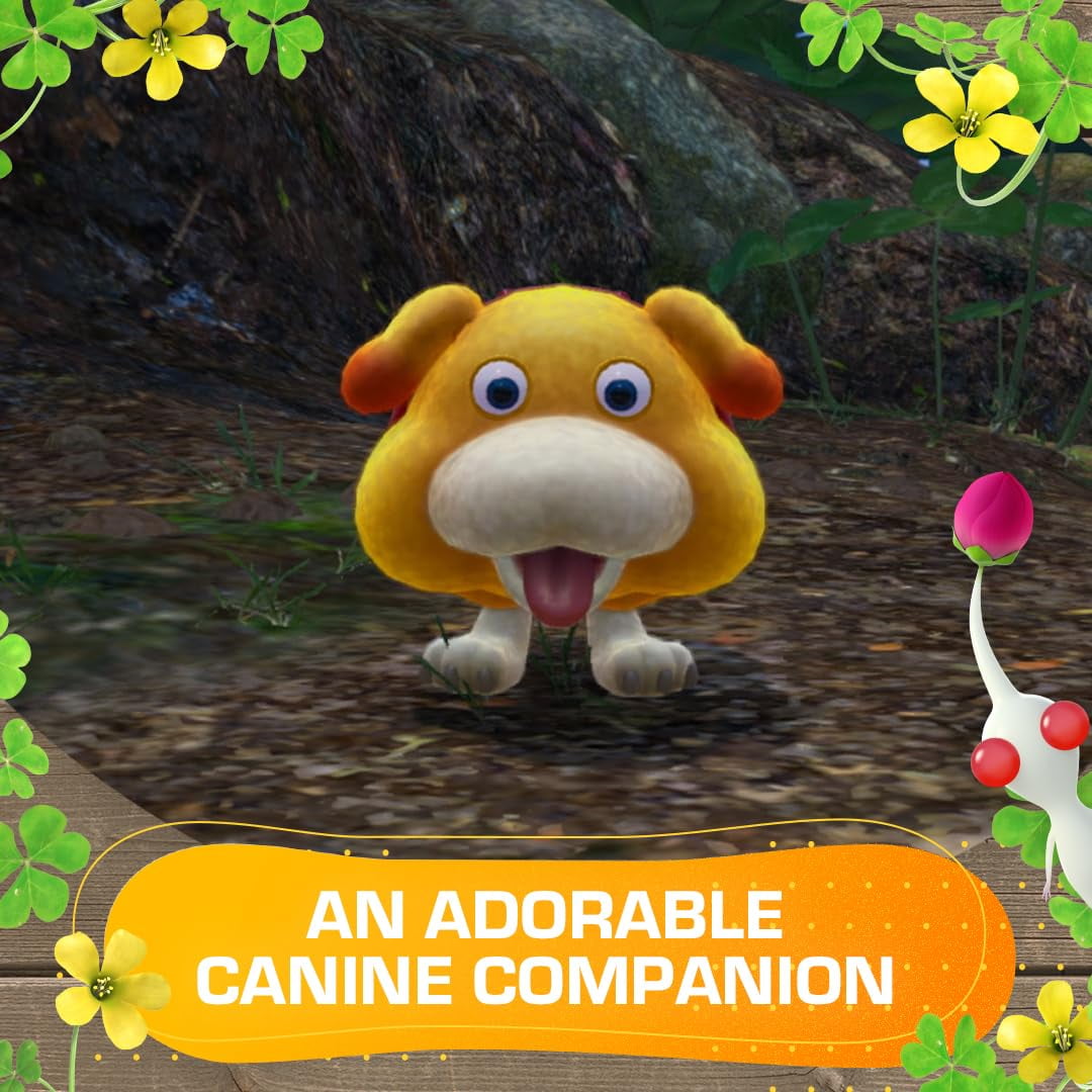 121341-my-nintendo-princess-