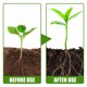thumbnail image 5 of Polvo para enraizar plantas 50g, 5 of 5