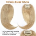 thumbnail image 2 of SEGO Clip in Hair Extensions Hair Bangs 100% Real Human Hair 2PCS French Bangs Wave Fringe Side Bangs Swept Natural Black Hair Piece, 2 of 6