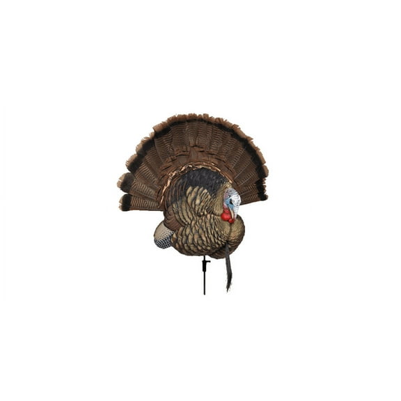 AVIAN-X Trophy Tom Turkey Decoy | Durable Realistic Lifelike Collapsible Standing Hunting Decoy with Carry Bag & Stake, AVX8021