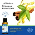 thumbnail image 6 of Earth’s Care 100% Pure Cassia Cinnamon Essential Oil for Aromatherapy, 1 fl Oz, 6 of 10