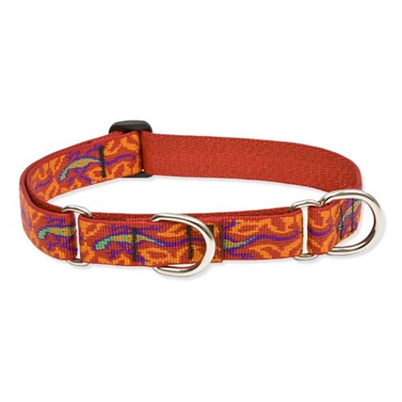 LupinePet Originals 1" Go Go Gecko 15-22" Martingale Collar for Medium and Larger Dogs