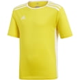 thumbnail image 1 of adidas Boys' Entrada Jersey, Yellow/White, Small, 1 of 6